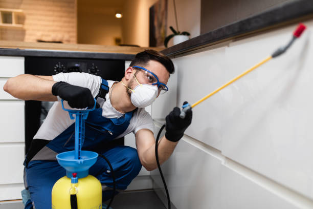 Pest Prevention Services in Sunset Beach, NC